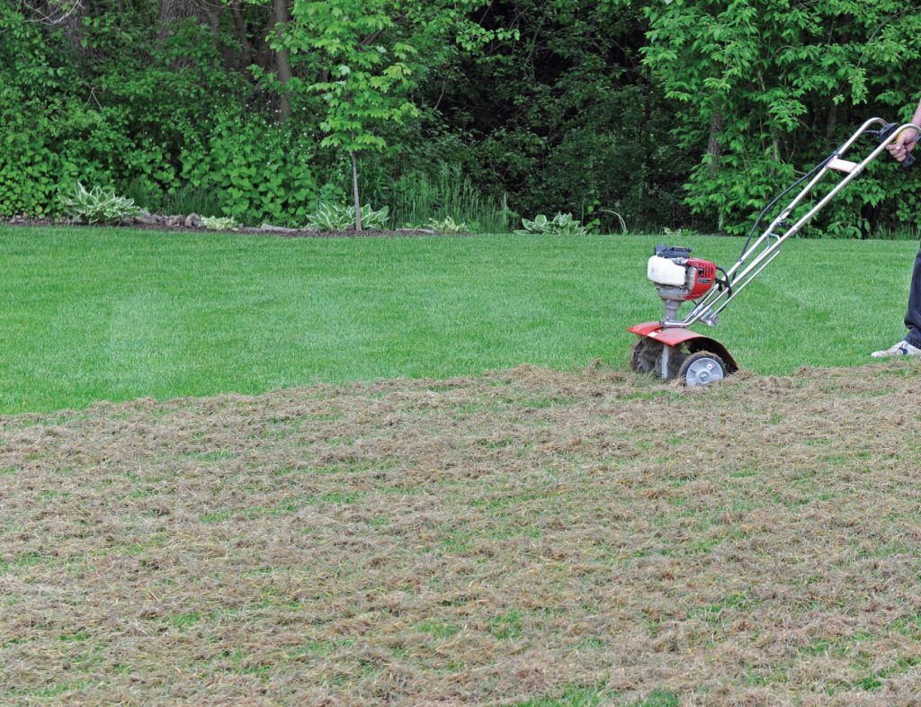 Lawn DeThatching/Power Raking Maintenance Pro