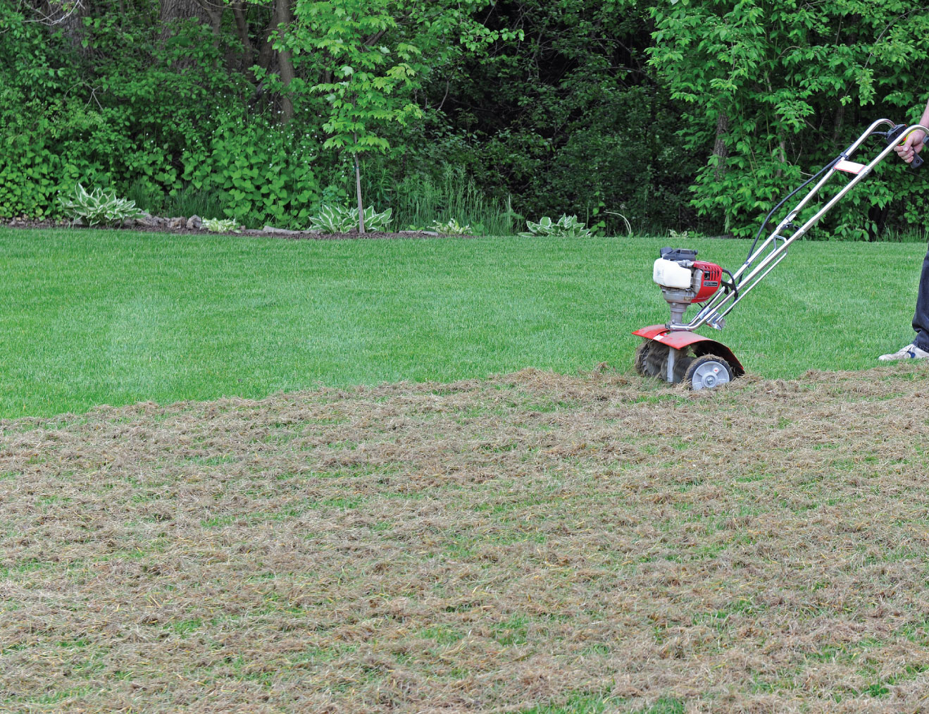 Lawn De-Thatching/Power Raking